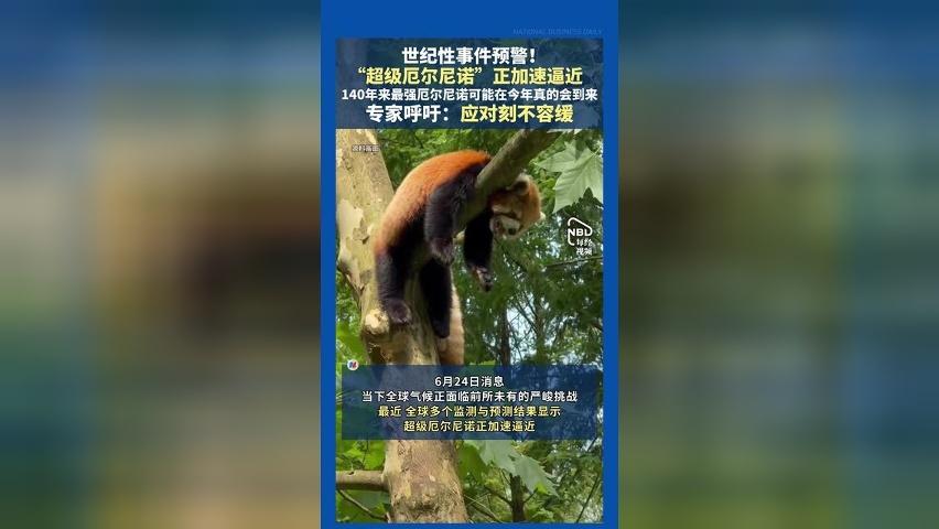 世纪性事件预警！“超级厄尔尼诺”正加速逼近，140年来最强厄尔尼诺可能在今年真的会到来，专家呼吁：应对刻不容缓