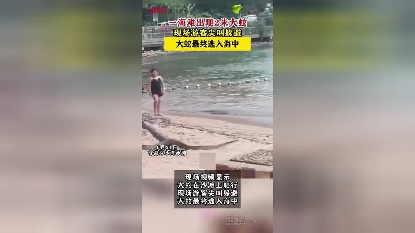 香港一海滩出现2米大蛇 现场游客尖叫躲避，大蛇最终逃入海中
