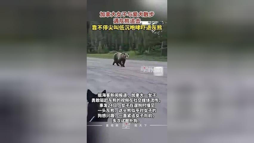 加拿大女子与爱犬散步遇灰熊追击，靠不停尖叫低沉咆哮吓退灰熊