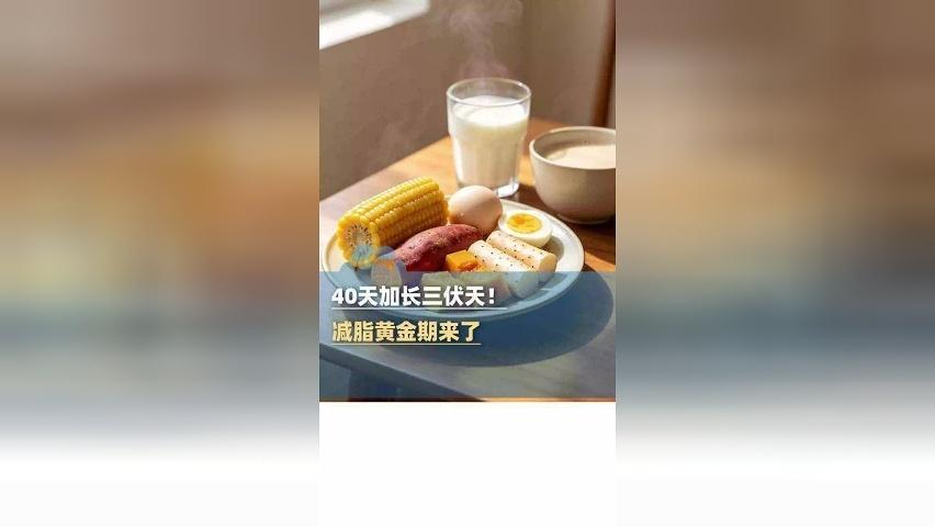 40天加长三伏天，减脂黄金期来了！医生建议：合理三餐才是长久减脂的关键