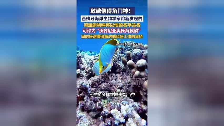 致敬佛得角门神！一种新发现的海蛞蝓物种被命名为 “沃齐尼亚”