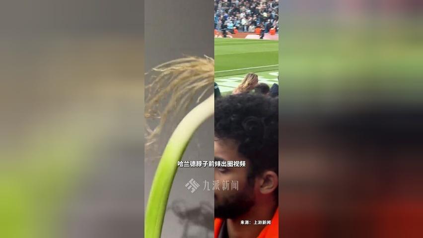 全网爆火的哈兰葱竟是蒜苗 ，作者本人回应：在菜店精心挑选了快一个小时