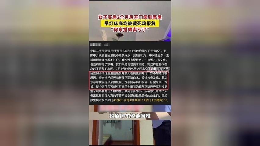 女子买房2个月后开门闻到恶臭，吊灯床底均被藏死鸡报复：房东觉得卖亏了