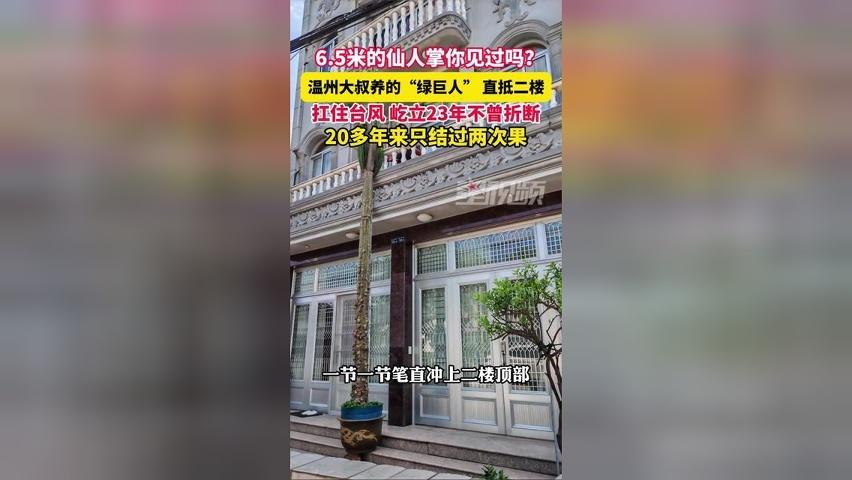 大叔养的仙人掌直抵二楼有6.5米高，屹立23年不曾折断，结过2次果