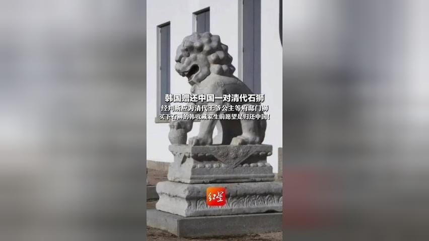 韩国赠还中国一对清代石狮 经判断应为清代王爷公主府邸门狮 曾被韩收藏家在日本买下 他生前愿望是归还中国！