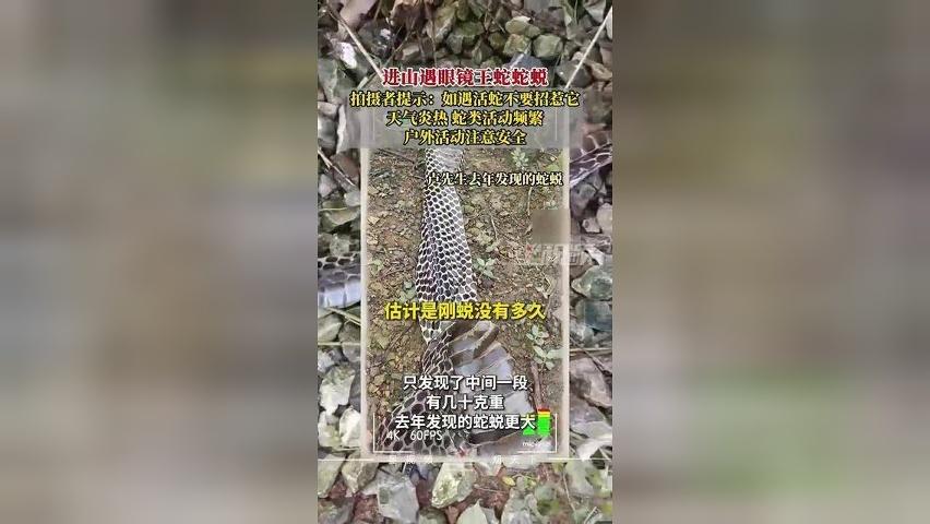 广西男子进山发现2米长蛇皮，整体完整有粘液，疑眼镜王蛇的蛇蜕