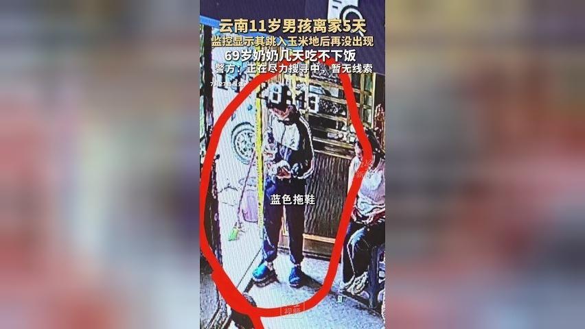 云南11岁男孩离家5天 监控显示其跳入玉米地后再没出现 69岁奶奶几天吃不下饭 警方：正在尽力搜寻中，暂无线索