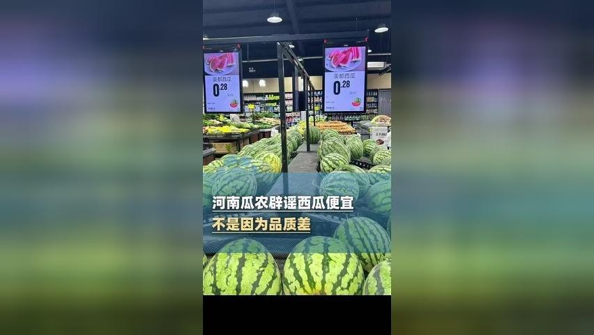 网传今年河南西瓜便宜是因为品质太差？瓜农在线辟谣：假！