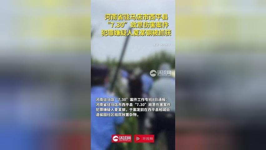 河南西平县重大刑案嫌疑人被抓获