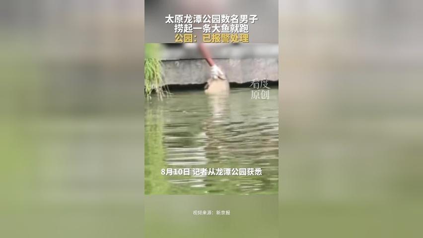 太原龙潭公园数名男子捞起大鱼就跑，公园：已报警处理