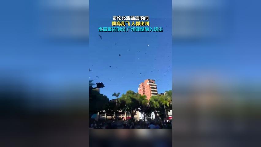 哥伦比亚强震瞬间：群鸟乱飞人群尖叫 房屋整栋倒塌 广场雕塑隐入烟尘