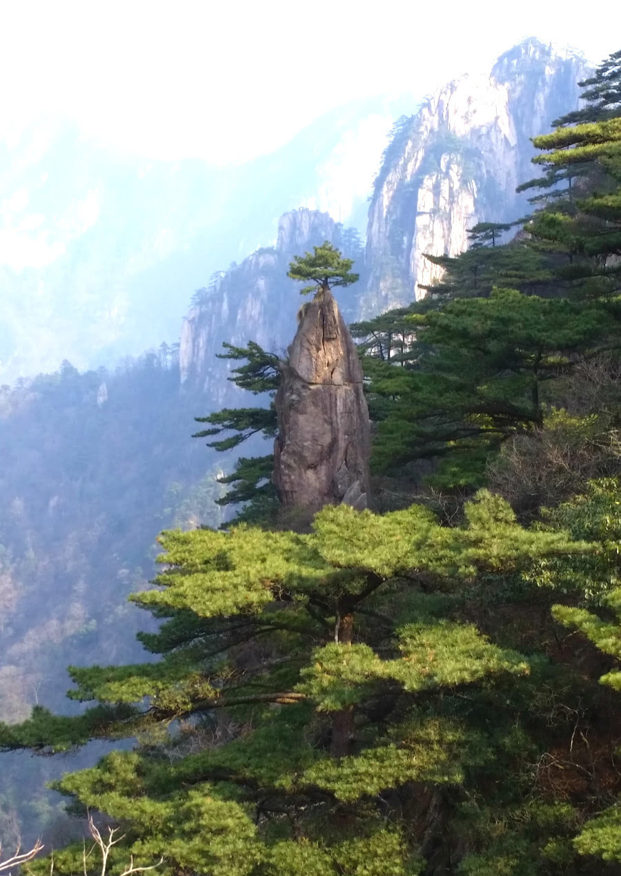 冬游黄山,就是任性!