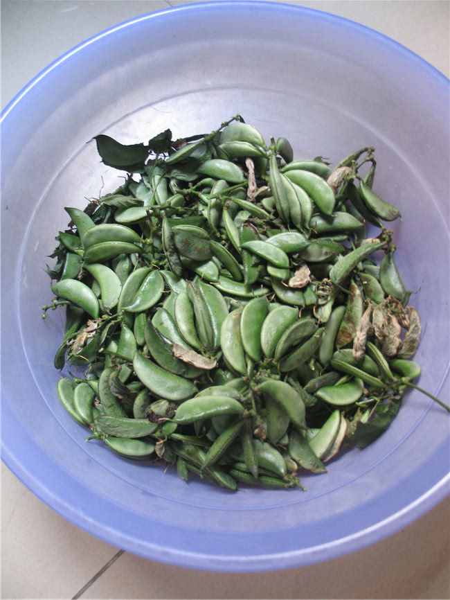 年夜菜有奖征文乡土菜五花肉焖蜜豆