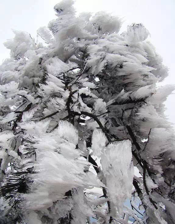 赣县宝莲山雪景图片