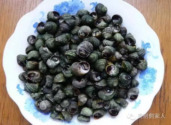 偏腚波螺辣波螺钢螺肚脐波螺土黄色,螺层清晰,有层次感,壳薄.