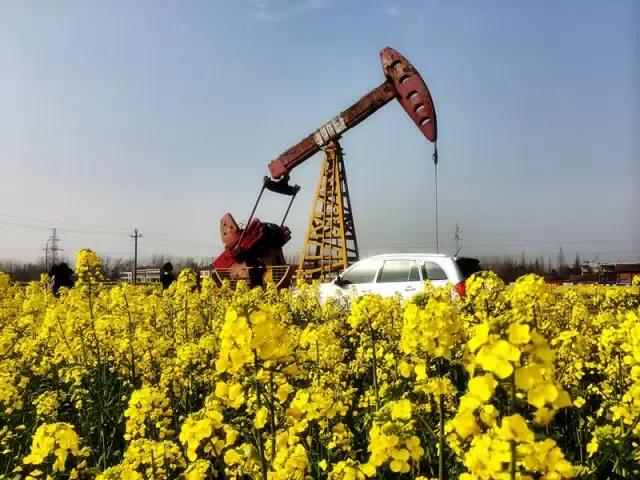 我们还可以驾车开到井驾旁,近距离了解石油开采的过程,刚柔之美就在
