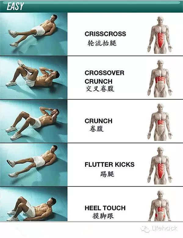 鲨鱼线腹肌训练方法图片