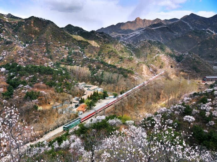 沿著鐵道去旅行比居庸關花海更美的鐵路賞花路線