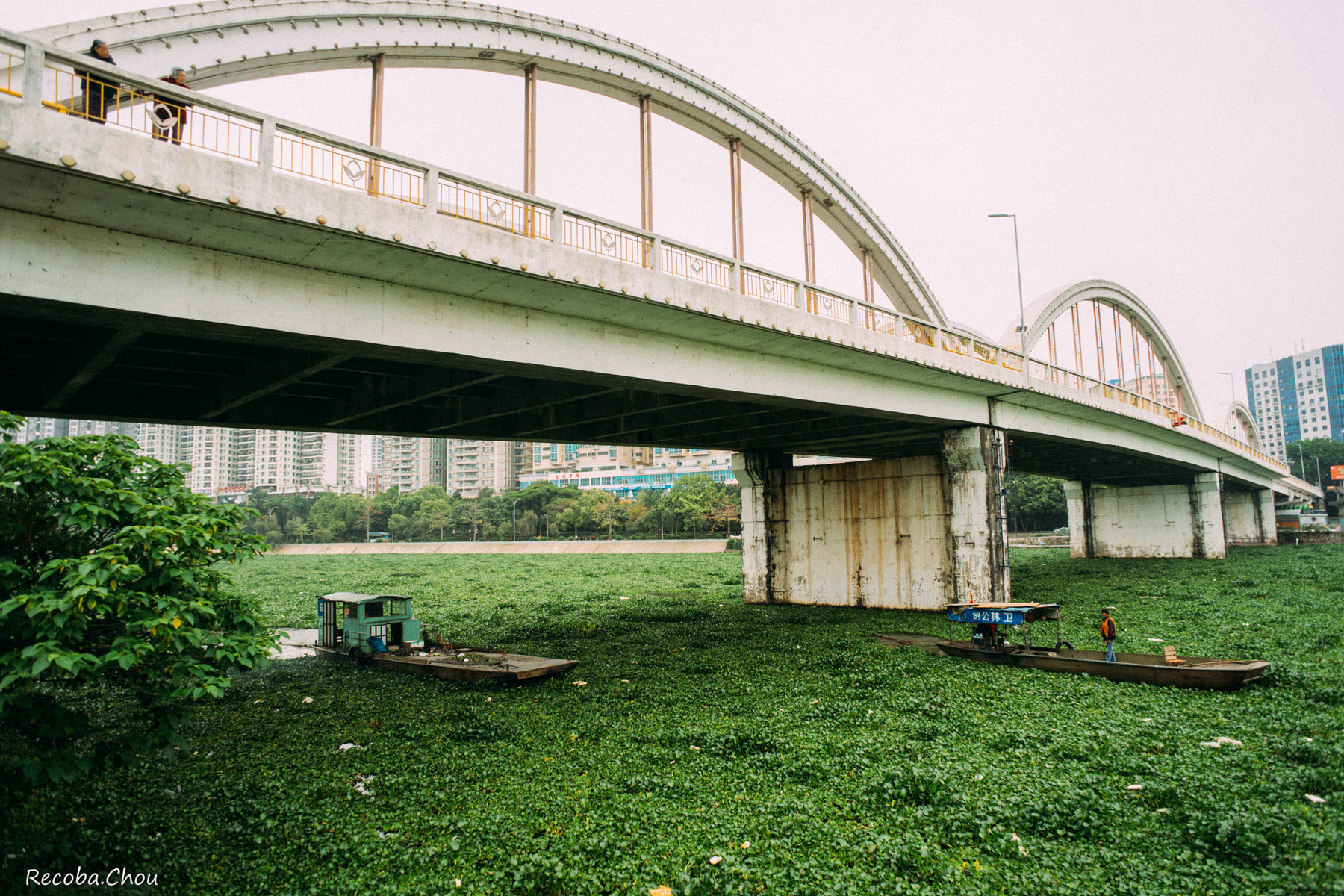 草原河流西枝江