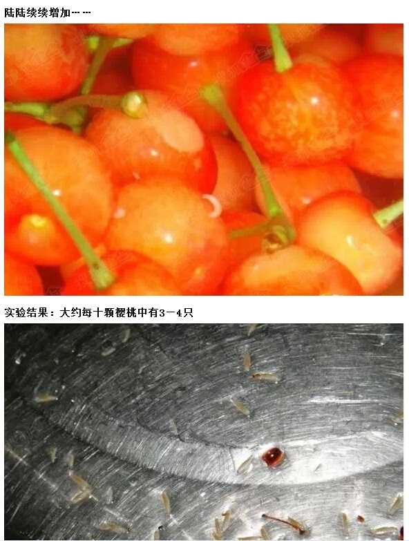 重庆合川樱桃谣言图片