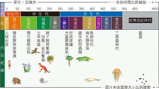 人类,地球历史长河中的一粒沙