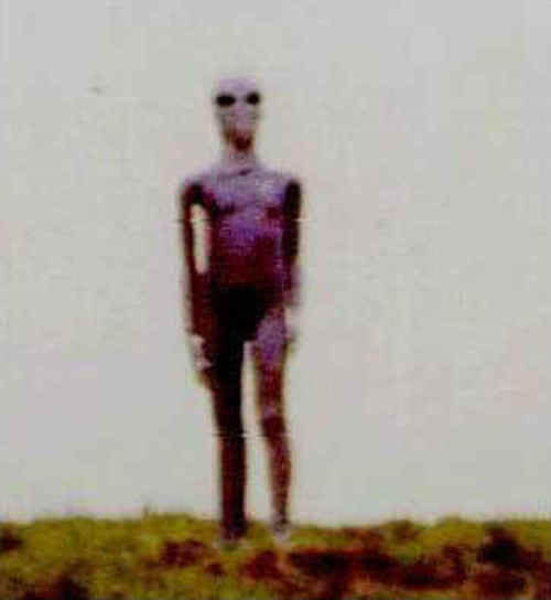 甘肃ufo事件真实外星人图片
