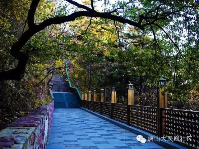 景忠山遷安靈山風景區青山關白羊峪長城旅遊區潘家口水庫遷安山葉口