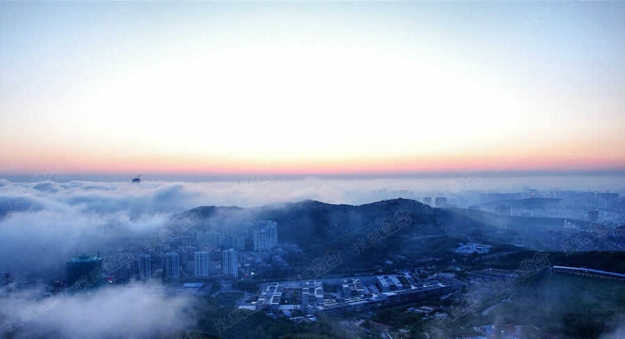 青岛现平流雾景观 云中城市如海市蜃楼