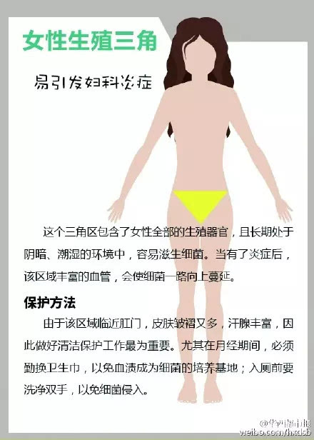女性下腹部三角区图片图片