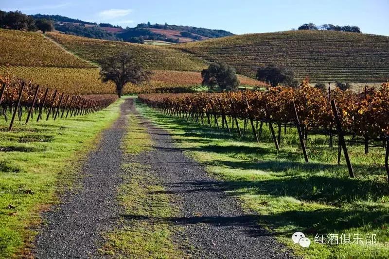 6,昆德产业葡萄园(kunde estate vineyards),美国加州索诺玛县(sonoma