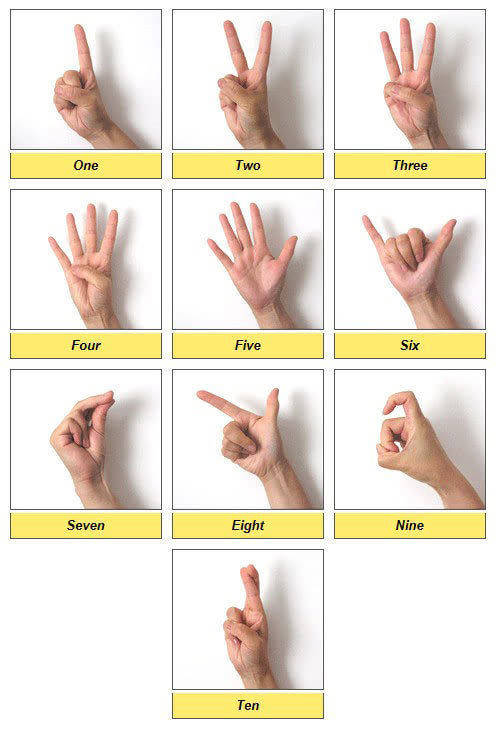 数字8的手势正规图解图片