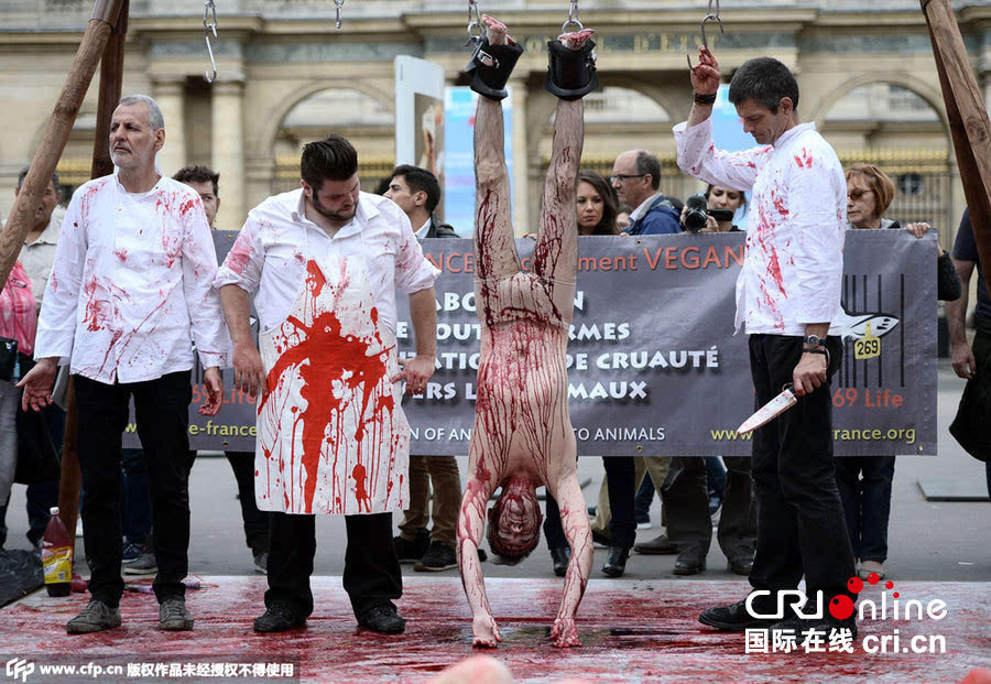 法国示威者流血聚集屠宰场 呼吁解放动物