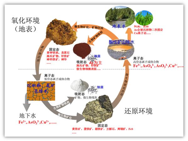 微生物在自然礦物中起到了什麼樣的作用?