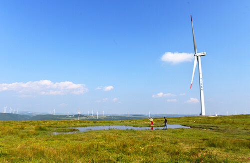 龙里大草原迎来夏日好风光