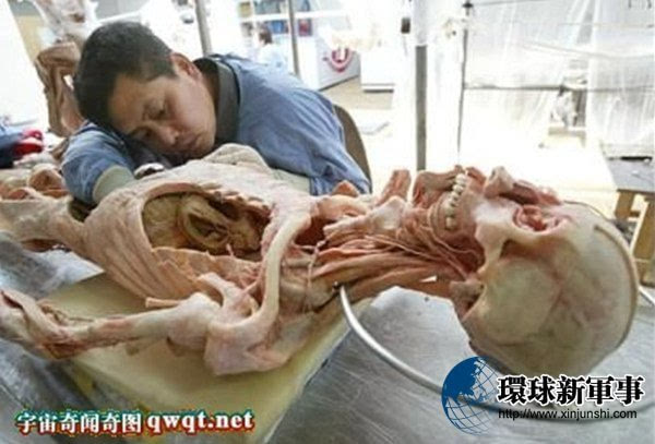 中国十大煮尸案图片