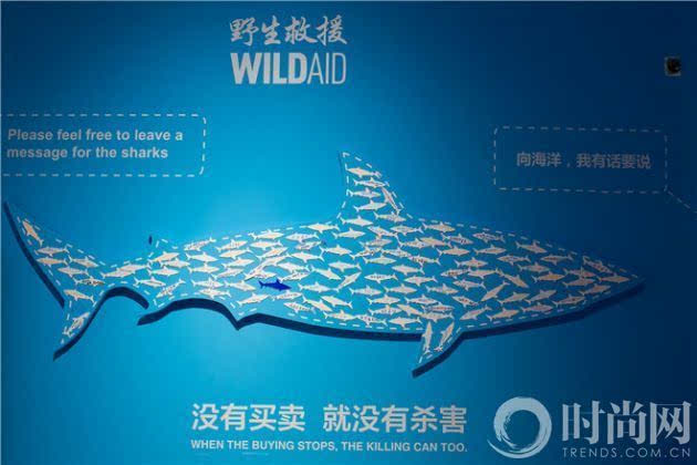 保护鲨鱼——艺术巡回展于中国国家博物馆正式开幕