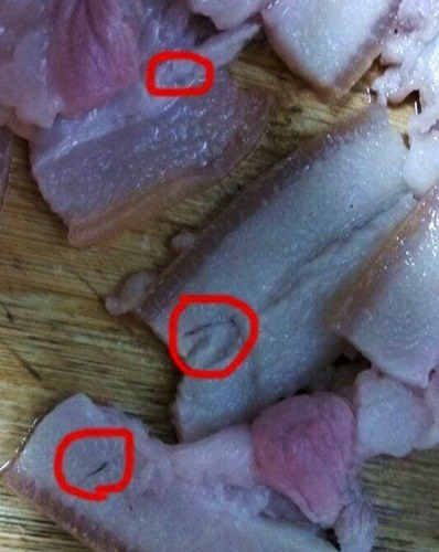 (图)南充男子买回猪肉 肉里布满"黑虫"