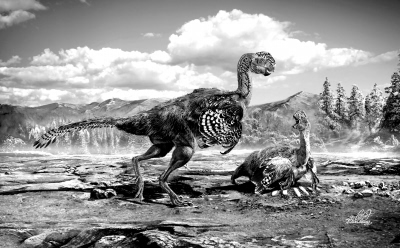 科学家发现新窃蛋龙化石