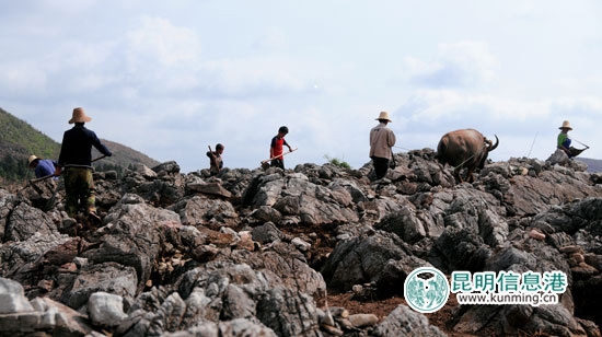 云南文山"六子登科"治理模式遏制石漠化蔓延