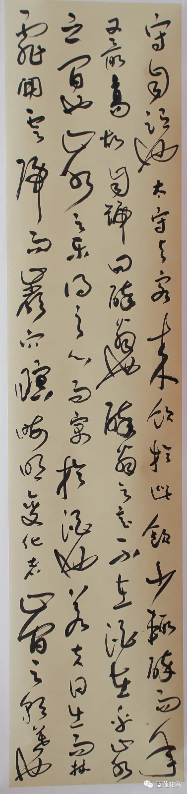 展中国风采的书法作品