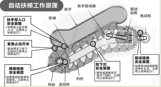【组图】自动扶梯"致命踏板"图是不是真的?专家:说法不准确