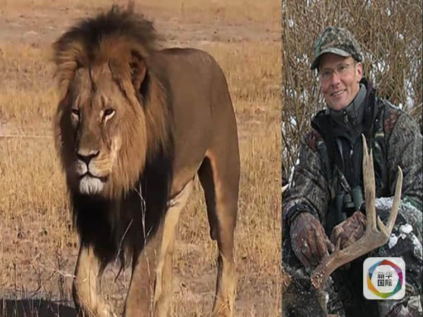 帕尔默与两名津巴布韦人一道猎杀了当地最出名的狮王塞西尔