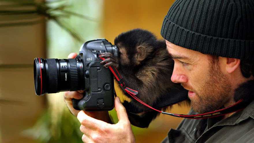 动物拿相机图片