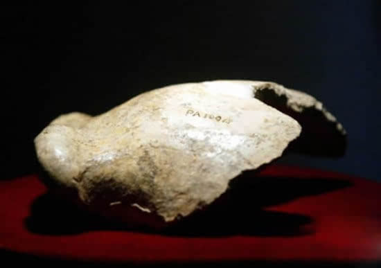 石器,植被进行了综合研究,并参照欧洲第四纪冰期进行分析,认定北京