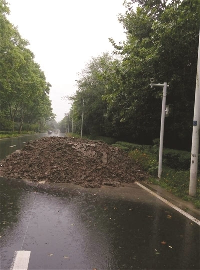 建築垃圾隨意傾倒在路中間,這條環境優美的道路三幅路面被佔據了兩幅