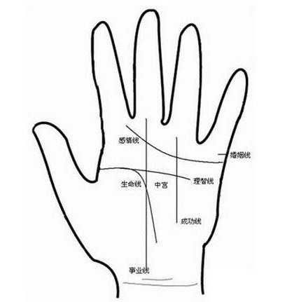 手掌生命线是哪条图片