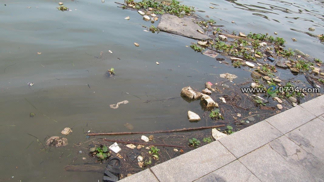9月9日下午,有市民反映市船山大桥北侧湘江又出现了垃圾带,污染母亲