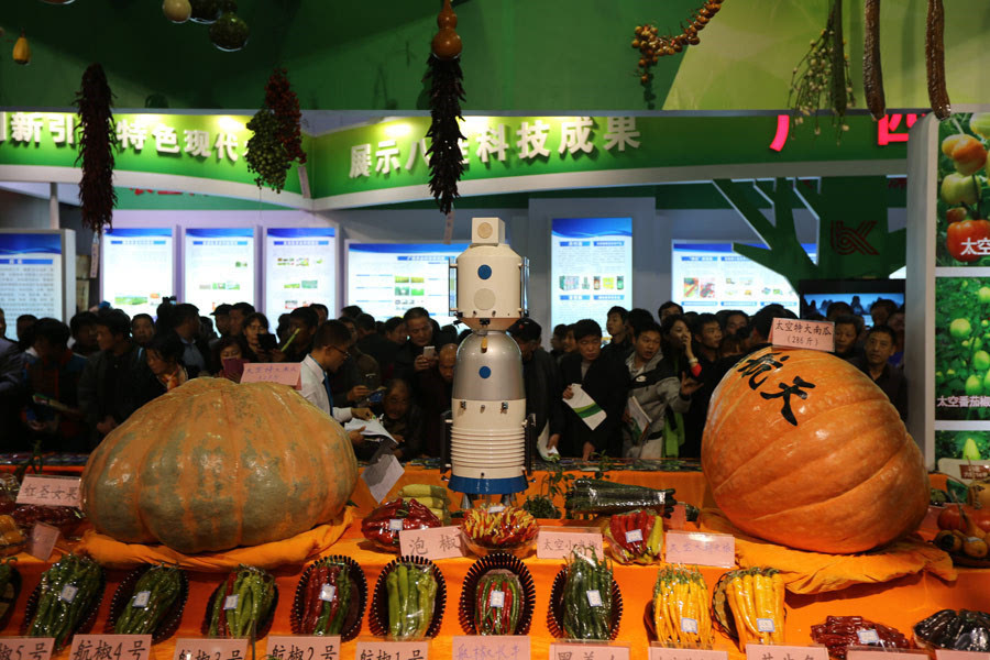 第22届中国杨凌农高会开幕 农业科技创新成果集中亮相