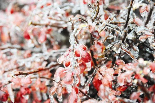 雨雪冻雨 雾霾 三天内全来鞍山了