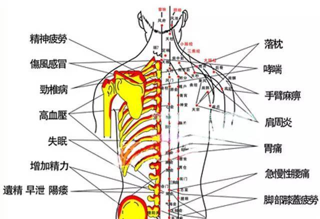 你知道拔罐后的淤血颜色代表着什么吗?9999%人不懂!